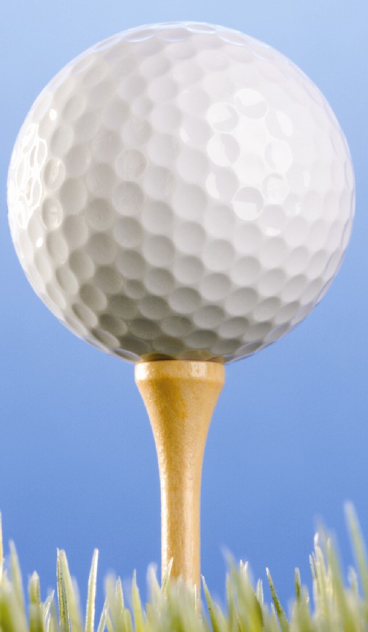 2010 Golf Classic