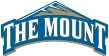 Mount Saint Mary's